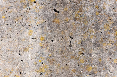 Concrete wall surface texture.Grunge backdrop.の写真素材