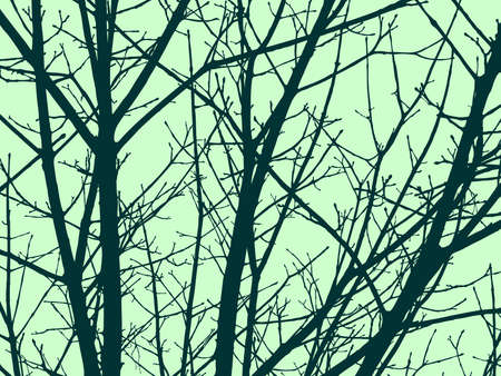 Tree branches.Early spring season.のイラスト素材