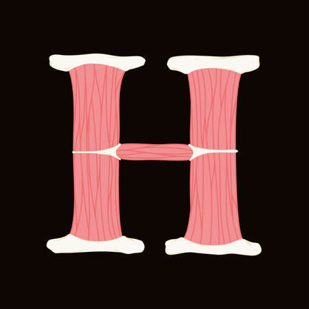 Vector muscle letter.Art font.のイラスト素材