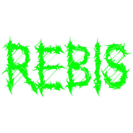 Modern slang.Colloquial expression.Common language.Decorative font style.Vector lettering illustration.のイラスト素材