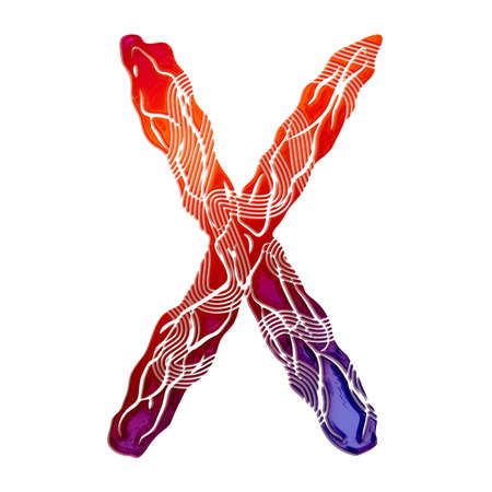 Gradient decorative letter isolated on white background.Uppercase art font.の写真素材