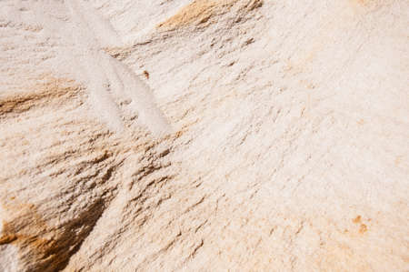 Caked sand surface background.Close-up shot.の写真素材