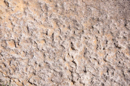 Caked sand surface background.Close-up shot.の写真素材