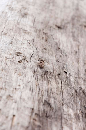 Old weathered wood background.の写真素材