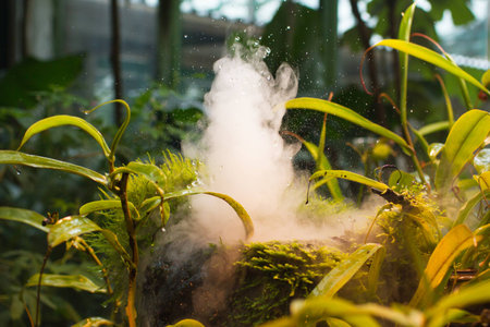 Wet plants and steam in tropical greenhouse