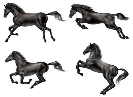 Horse vibrant の写真素材