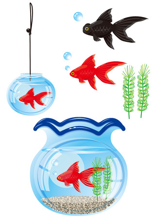 Fishbowl with goldfish  Japanese styleの写真素材