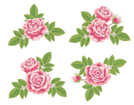 Pattern of roses  Classic  Schickの写真素材