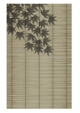 Blind and maple  Landscape of Japanの写真素材