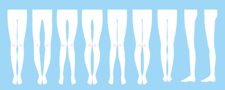 Shape of the legsのイラスト素材