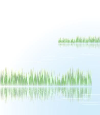 Reeds and the lake surfaceのイラスト素材