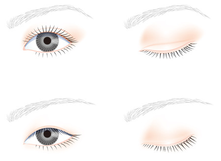 eye, no makeupのイラスト素材