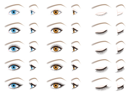 Eyelash extensions, false eyelashes typeのイラスト素材