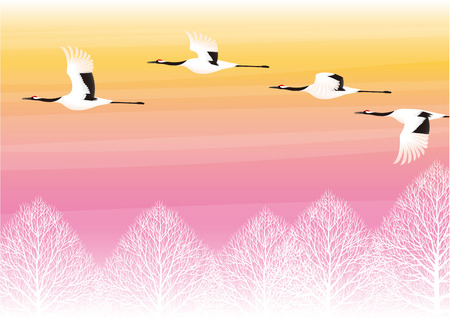 Crane and sunsetのイラスト素材