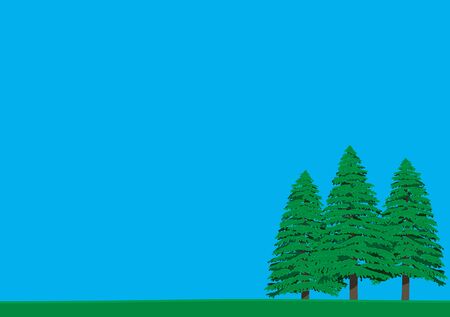 Summer of pine treeのイラスト素材