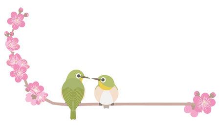 Japanese white eye and plum blossomsのイラスト素材