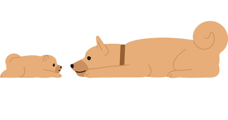 Facing puppy and parent dog.のイラスト素材