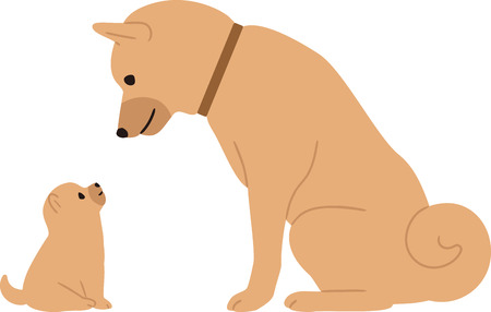 Facing puppy and parent dog.のイラスト素材