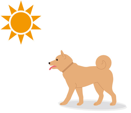 A dog walking on a sunny day.のイラスト素材