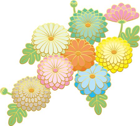 Japanese style chrysanthemum. Vector illustration.のイラスト素材