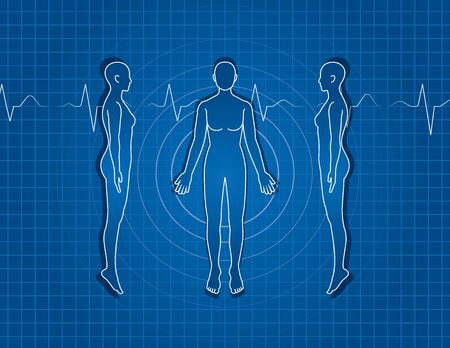 Illustration of the Human Body. Female sketchのイラスト素材