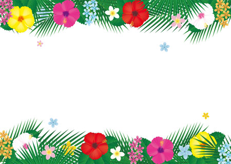 Tropical flower hibiscus and palm leaf frame. Vector illustrationのイラスト素材