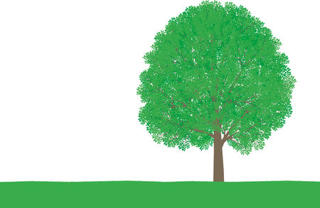 Lush summer trees and meadowsのイラスト素材