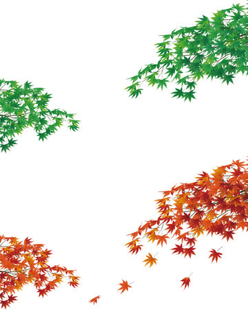 Blue maple and autumn leaves, vector illustration of the change of seasonsのイラスト素材