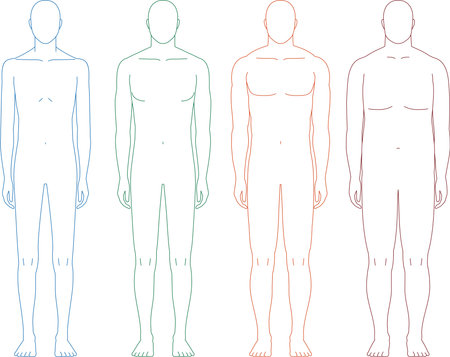 Male body template for presentation. Front and back view. Vector illustration.のイラスト素材