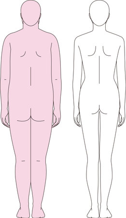 Fat woman and slim woman. Full body illustration of before and after dietingのイラスト素材