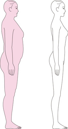 Fat woman and slim woman. Full body illustration of before and after dietingのイラスト素材