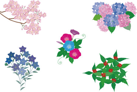 Illustrations of flowers representing the four seasons of Japanのイラスト素材
