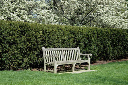 A picture of a bench at a English gardenの写真素材