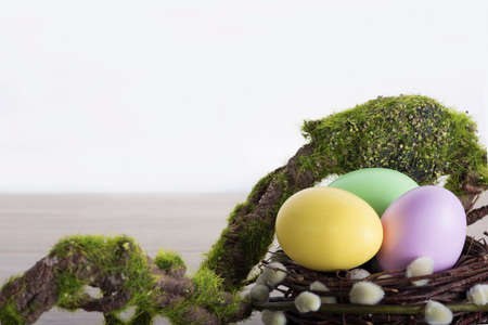 Colorful easter eggs in nest with moss brunch