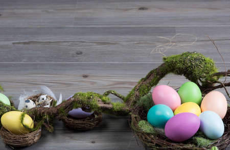 Colorful easter eggs in nest with moss brunch