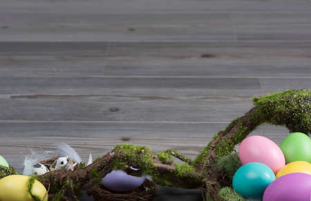 Colorful easter eggs in nest with moss brunchの写真素材