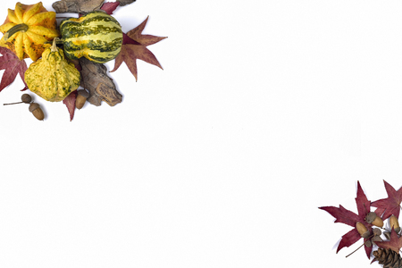 Decorative Colorful Mini Pumpkins, gourds and red fall leavesの写真素材