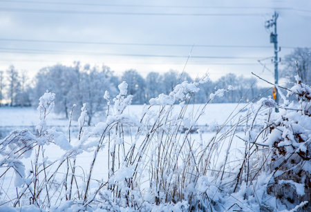 Winter landscape in Hassleholm, Sweden
