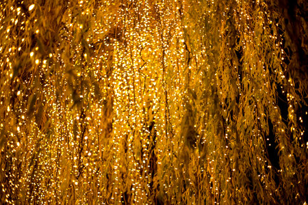 Tree all lit up at Tivoli in Copenhagen, Denmark around christmas