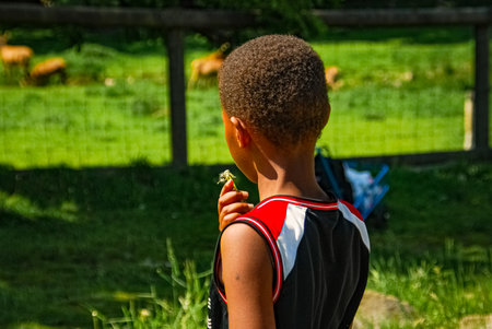 Black boy looking at animals 2のeditorial素材