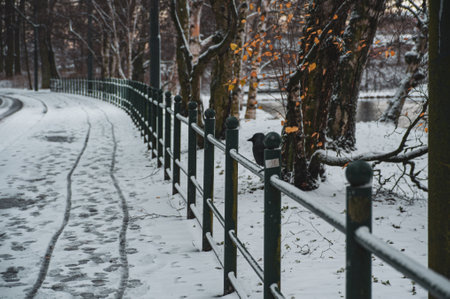 Winter walk lane in Malmoの写真素材