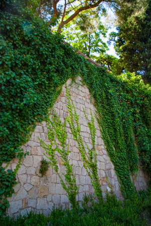 Jardins de Petra Kelly, Barcelona, Spainの写真素材