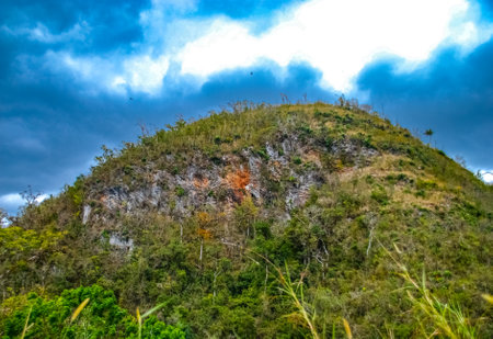 Mountain view from Sendero reino park de las aguas on Cubaの写真素材