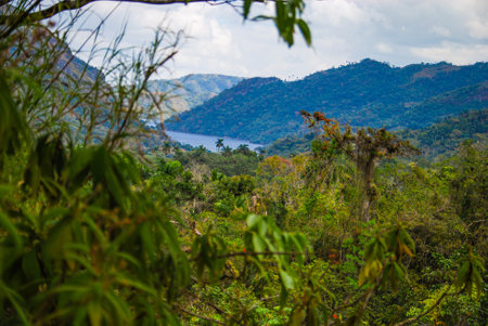 Mountain view from Sendero reino park de las aguas on Cubaの写真素材
