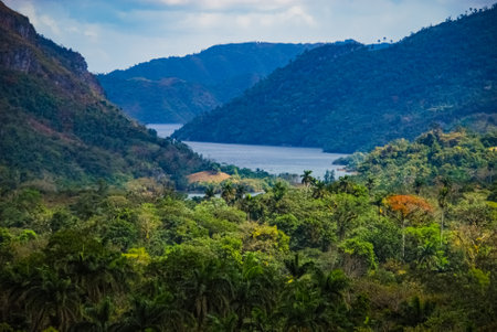 Mountain view from Sendero reino park de las aguas on Cubaの写真素材