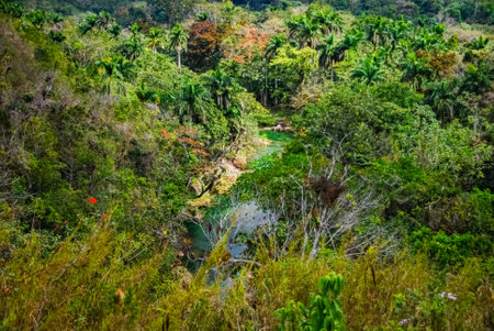 Mountain view from Sendero reino park de las aguas on Cubaの写真素材