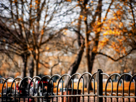 Fence in autumn park in London, UKの写真素材