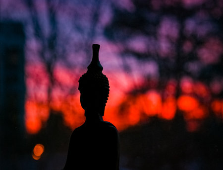 Buddha statue silhouette in northern winter lightsの写真素材