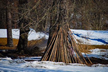 Girl playing in tree houseの写真素材