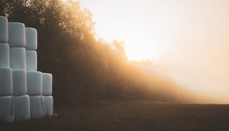 Hay bale in foggy sunrise in Hassleholm, Swedenの写真素材